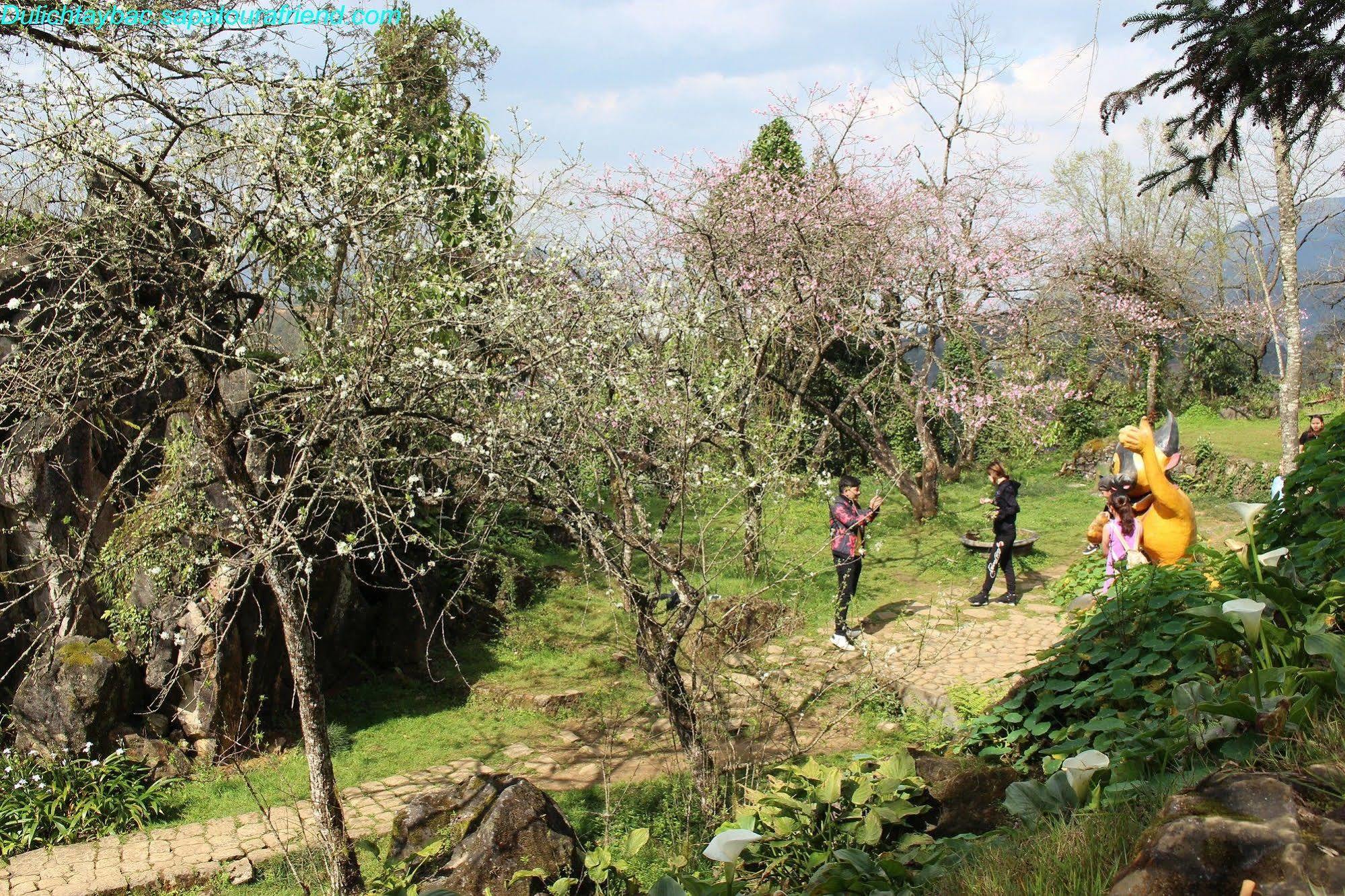 Sapa Sunflower Hotel 외부 사진